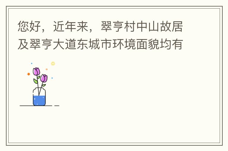 您好，近年來，翠亨村中山故居及翠亨大道東城市環(huán)境面貌均有所提升。但周邊環(huán)境仍然不夠理想，稍顯臟亂差，與5A風(fēng)景區(qū)的定位不相協(xié)調(diào)，望繼續(xù)盡快改善為宜。多謝