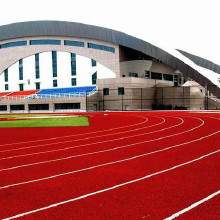 利達(dá)廠家供應(yīng)、混合型塑膠跑道施工、復(fù)合型塑膠跑道材料廠家