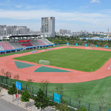 綠昂場(chǎng)地材料批發(fā) 透氣型塑膠跑道   塑膠跑道廠家   塑膠跑道包工包料