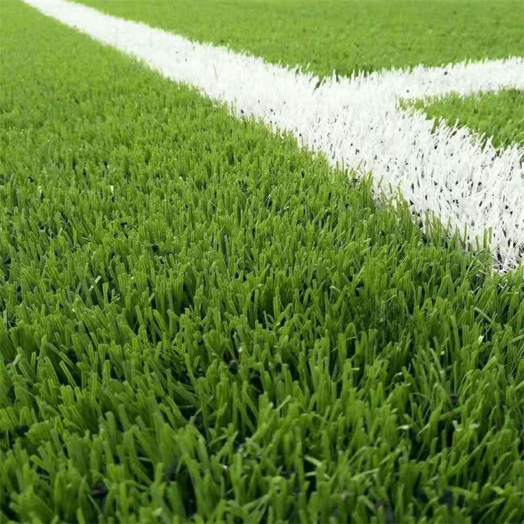 勝鑫 <a href=http://m.hjlhqqhx.cn target=_blank class=infotextkey>塑膠跑道</a>定制<a href=http://m.hjlhqqhx.cn target=_blank class=infotextkey>塑膠跑道</a>