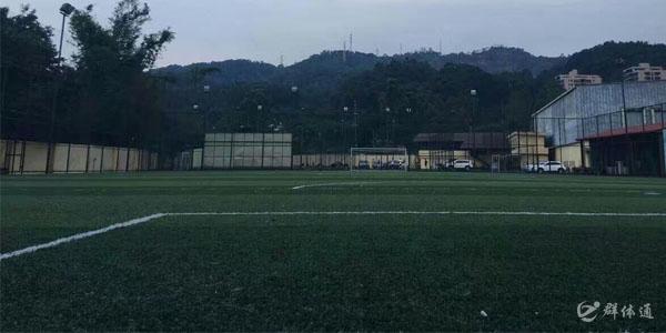 大埔社區(qū)足球場(chǎng)