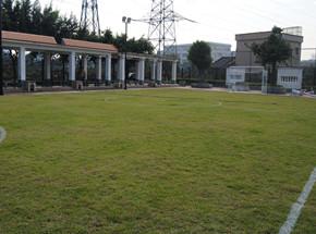 茶滘街葵蓬社區(qū)足球場