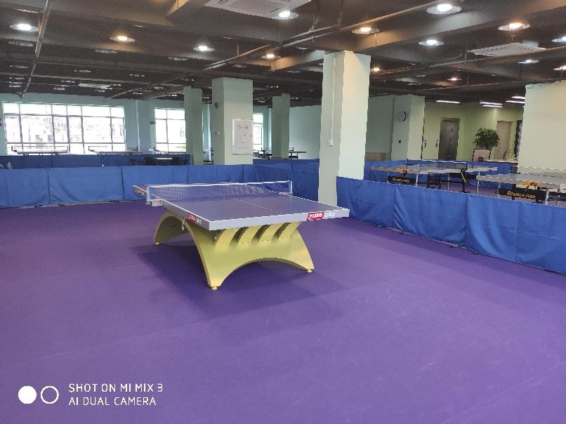 樂城乒乓球俱樂部