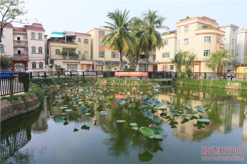 容桂南區(qū)社區(qū)持續(xù)提升人居環(huán)境，社區(qū)面貌展新顏