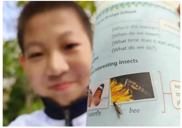 后生可畏！又有學生發(fā)現(xiàn)教科書錯誤，這次是上海10后！