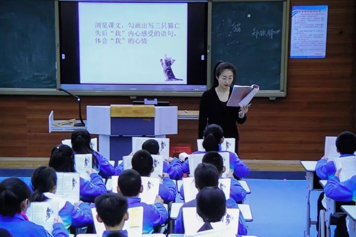 語(yǔ)文怪象：學(xué)的是草船借箭，考的卻是赤壁之戰(zhàn)，考得越廣學(xué)得越淺