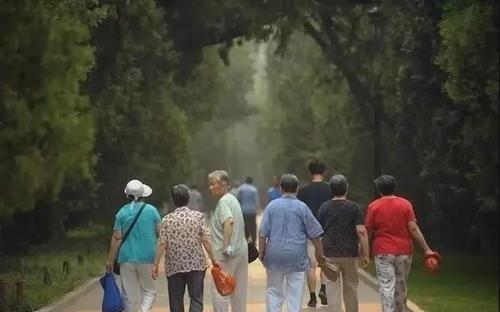 開放三胎政策“遇冷”，廈大教授提議：不生孩子就下調(diào)養(yǎng)老金