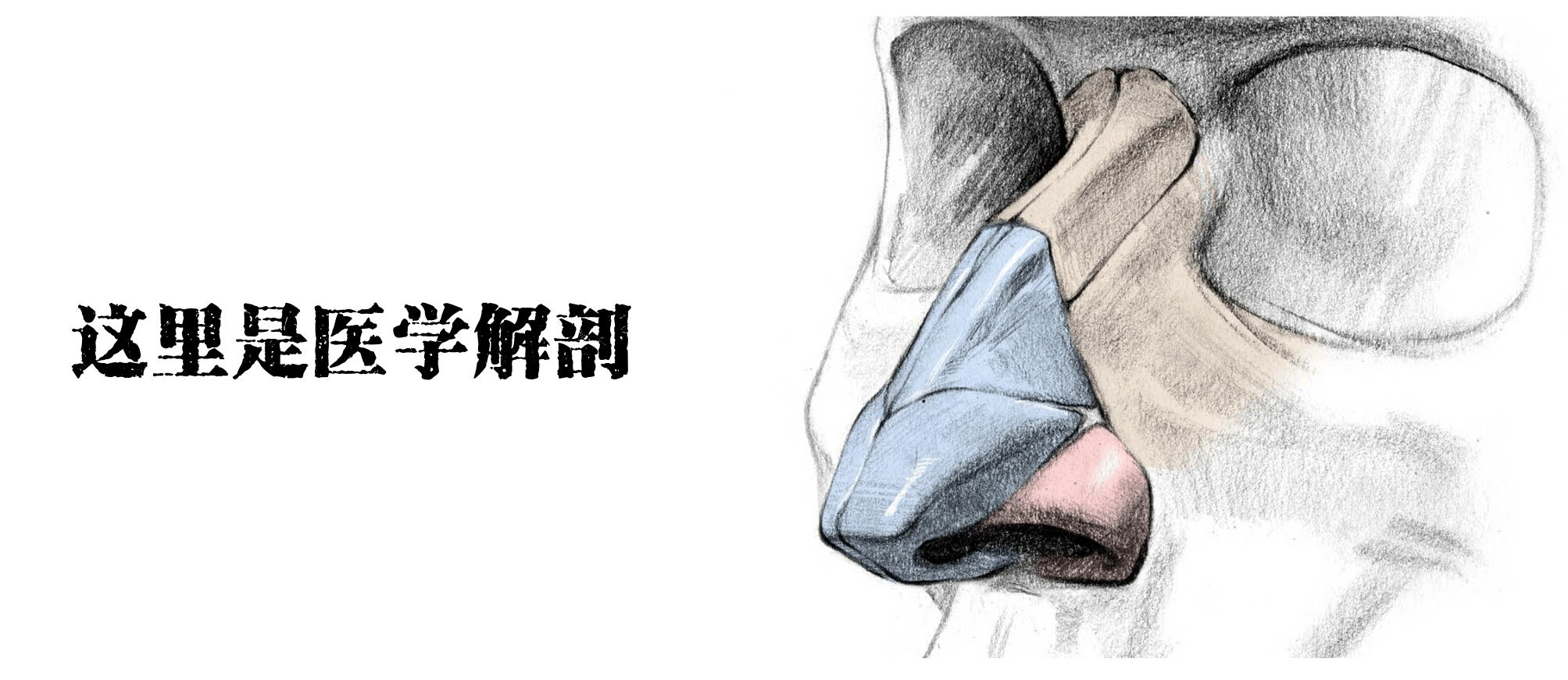 醫(yī)學(xué)生的考試到底有多難？看把學(xué)生都逼成啥樣了