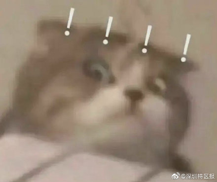 一學校家委會被投訴收班費向教師送禮，部門：未發(fā)現(xiàn)違規(guī)