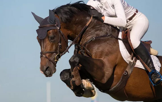 2019國際馬聯(lián)場地障礙世界杯中國聯(lián)賽