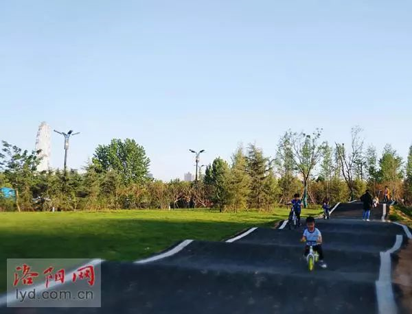 體育公園 體育公園