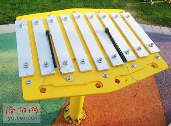 體育公園音樂區(qū) 體育公園音樂區(qū)