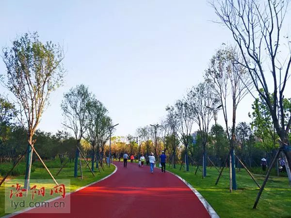 體育公園步道 體育公園步道