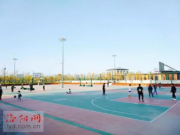 體育公園籃球場 體育公園籃球場