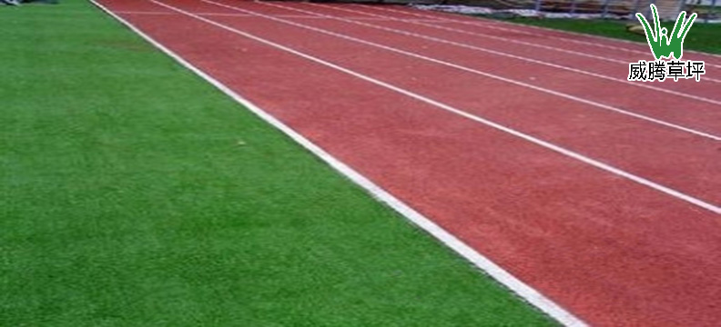 人工草坪操場(chǎng)及<a href=http://m.hjlhqqhx.cn target=_blank class=infotextkey>塑膠跑道</a>