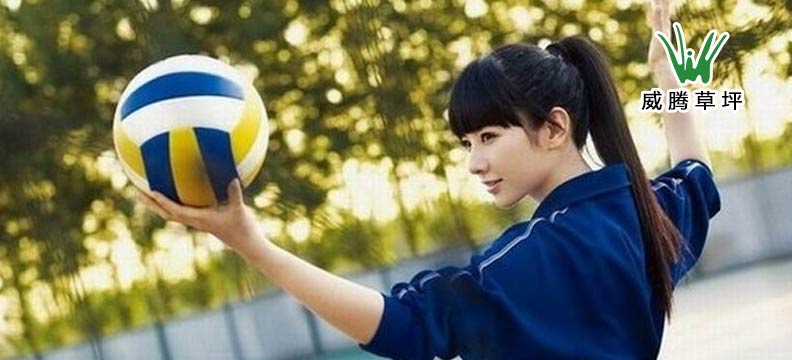 排場(chǎng)運(yùn)動(dòng)