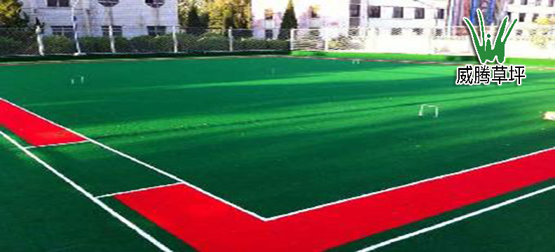 人造草坪門球場(chǎng)
