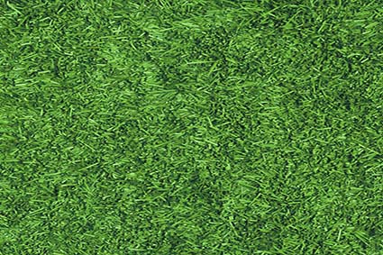 人造草坪的優(yōu)點,人造草坪的好處