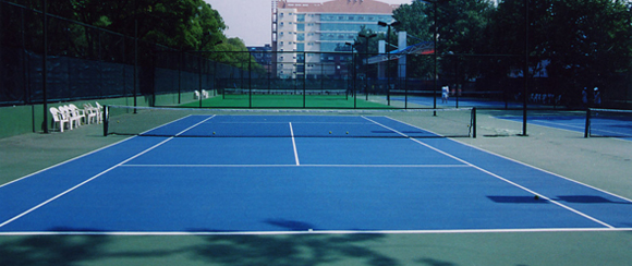 <a href=http://m.hjlhqqhx.cn target=_blank class=infotextkey>丙烯酸</a>球場廠家