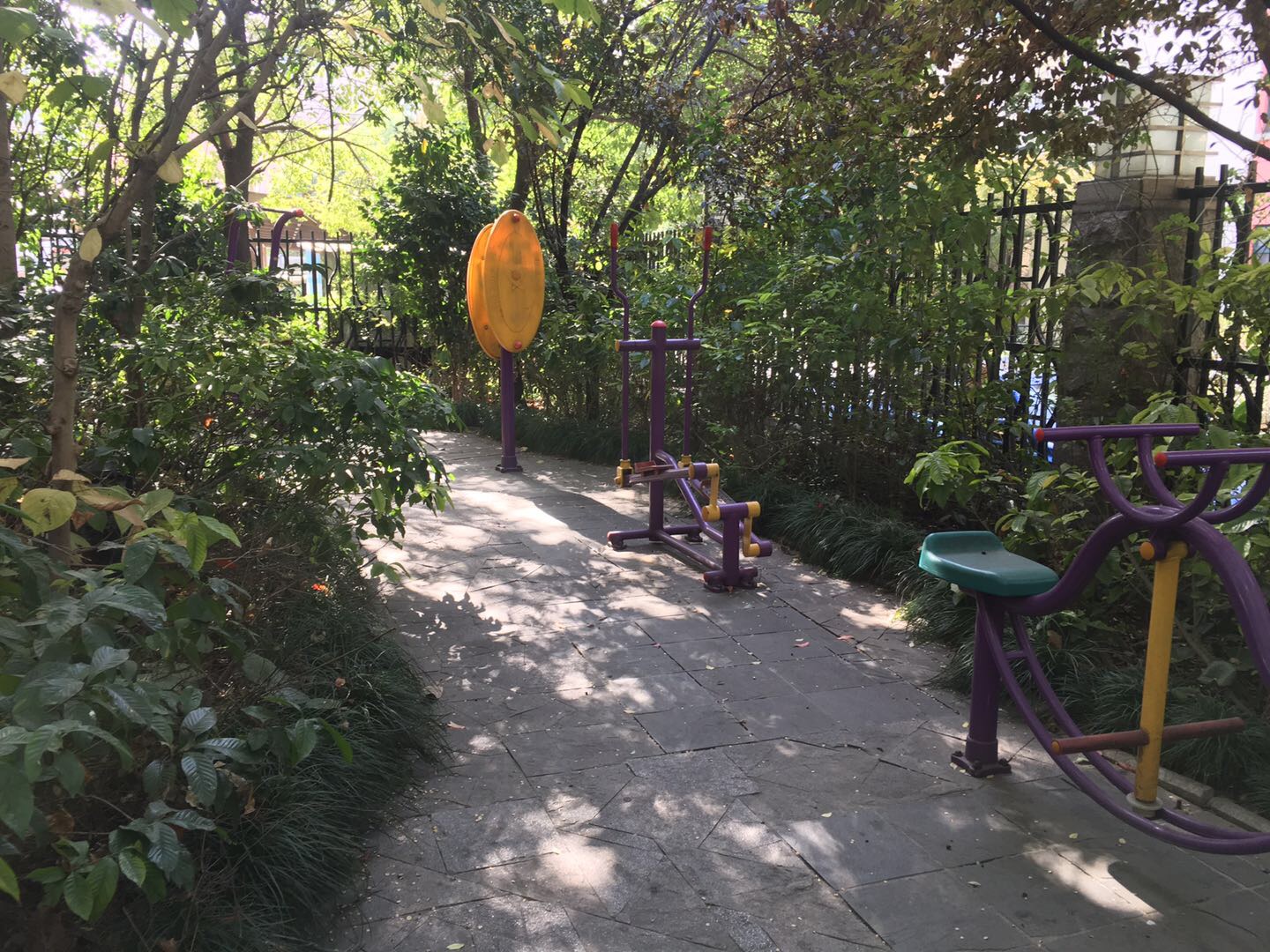 國(guó)際公寓健身苑點(diǎn)