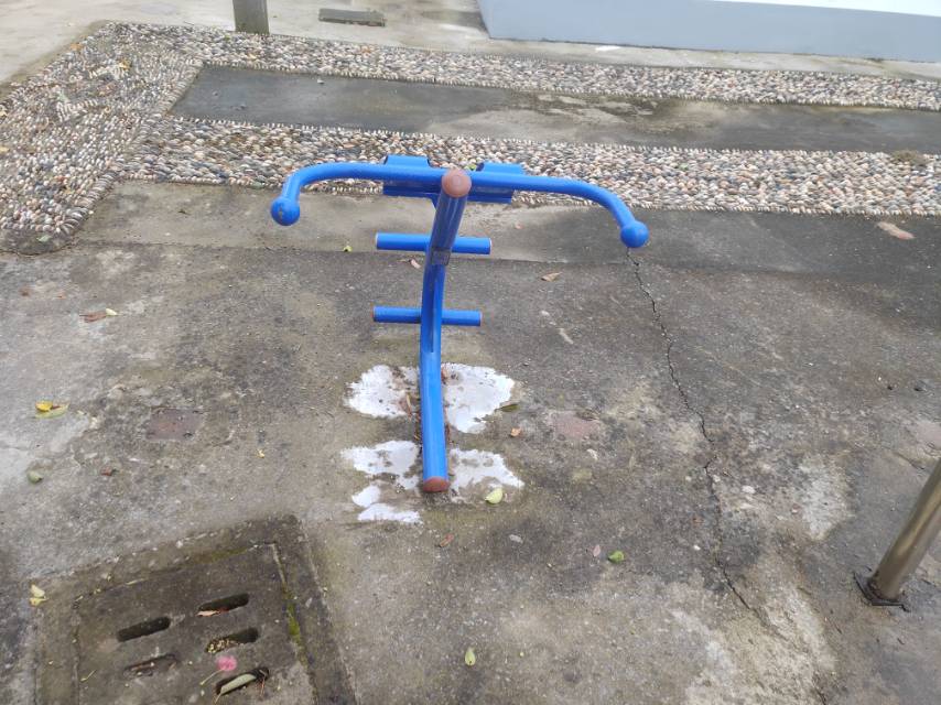 背肌訓(xùn)練器