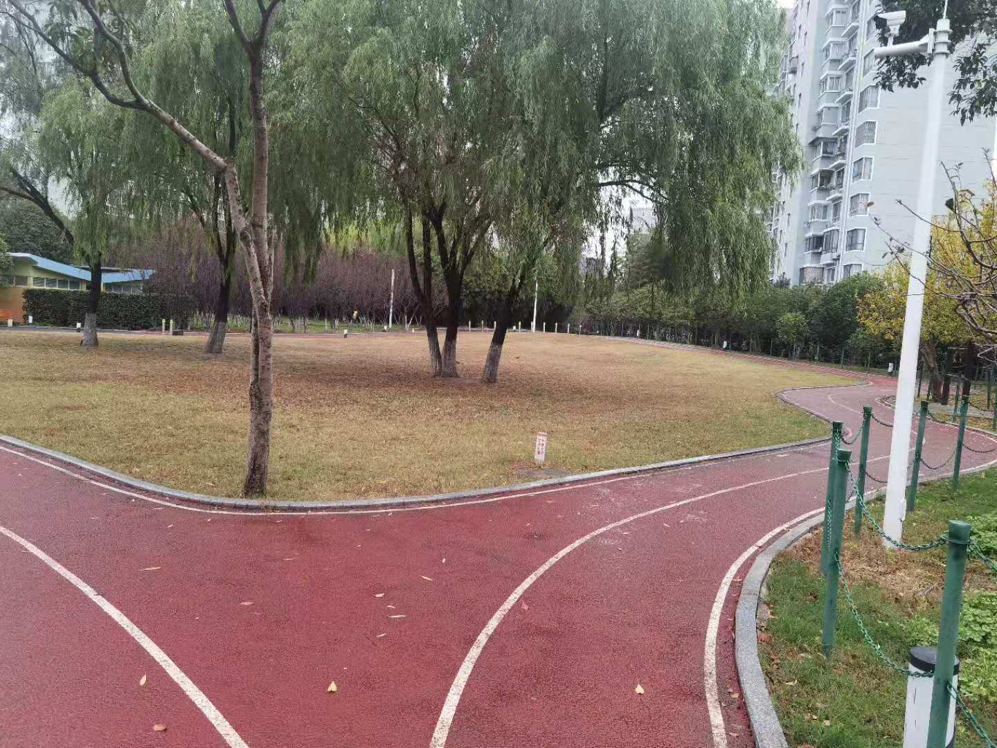 大寧郁金香公園市民健身步道二