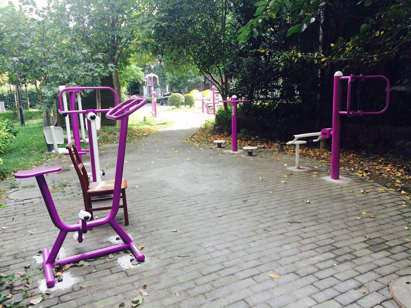 顓橋鎮(zhèn)楓澤苑健身點(diǎn)B