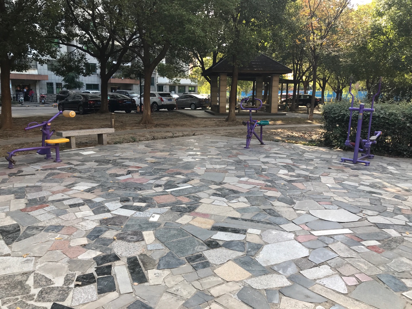 川新100支弄50號小花園