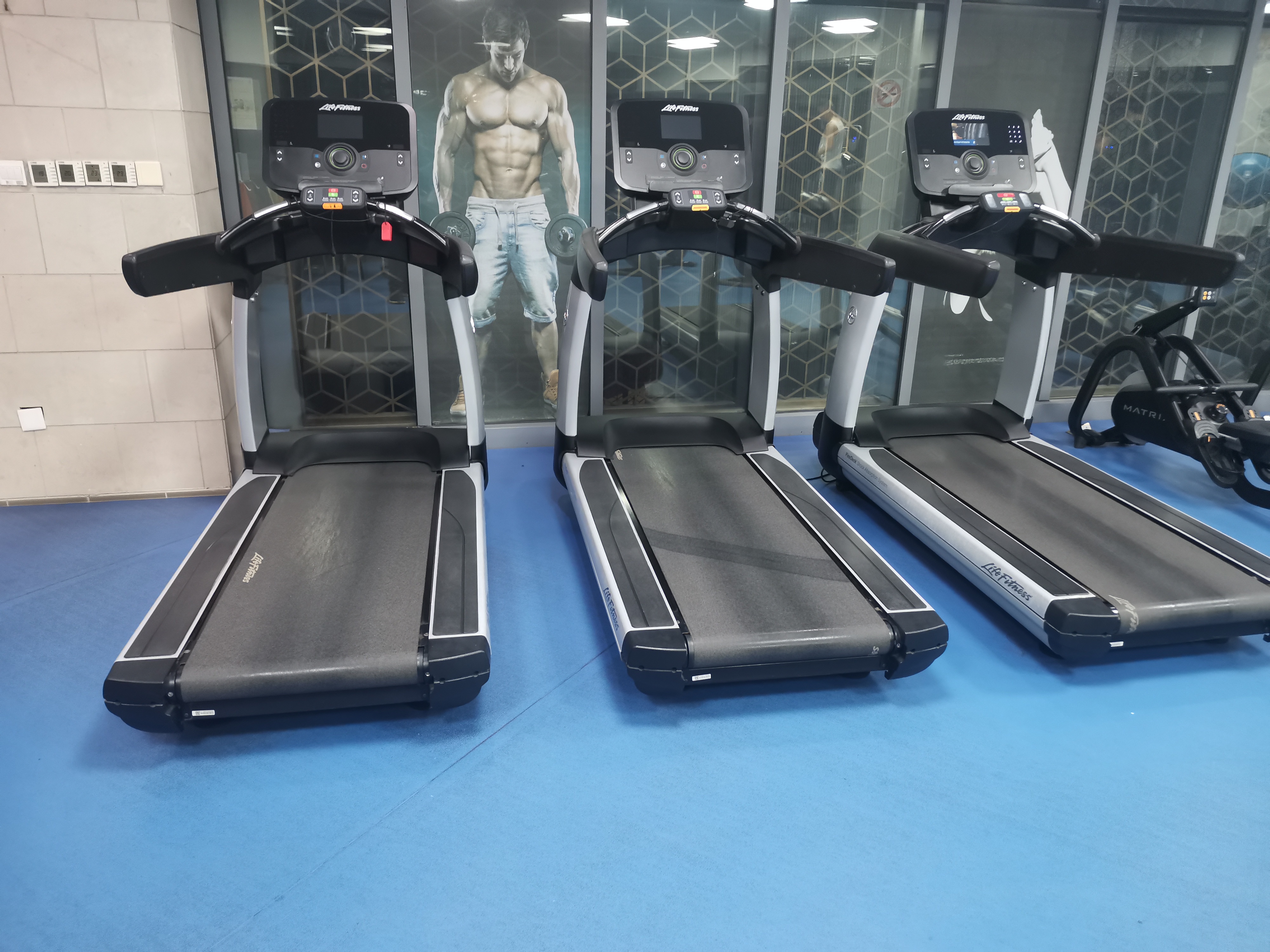 騎馬機(jī) 騎馬機(jī)