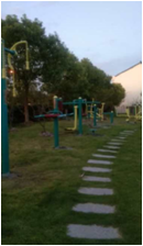 合慶鎮(zhèn)躍豐村徐華家宅健身苑點(diǎn)