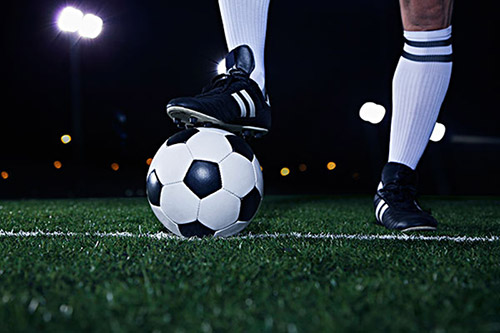 山東濟南農(nóng)業(yè)大學(xué)