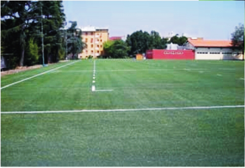 意大利雷焦艾米利亞橄欖球場（國際案例）