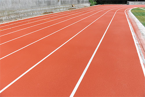 廣東省體育運(yùn)動(dòng)技術(shù)學(xué)院