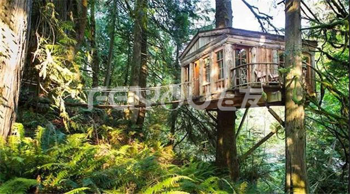樹屋度假村|走進大自然實現(xiàn)童年夢想