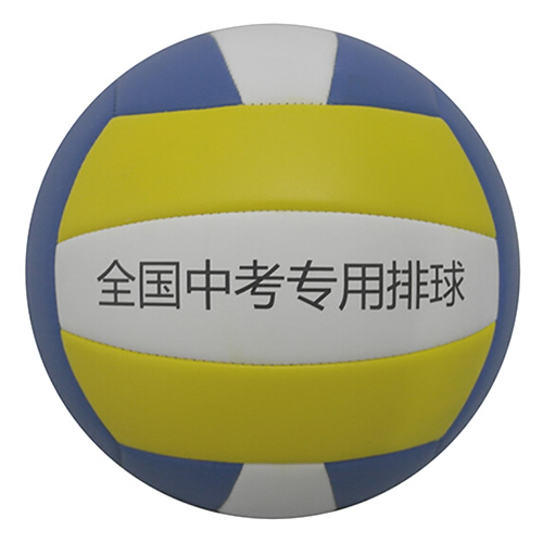 艾瑞斯ARS-560標(biāo)準(zhǔn)5號排球圖2