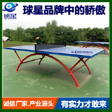 精品推薦學校體育器材,體育器材、全國就選東莞長安球星體育器材