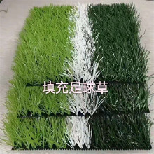 坤誠環(huán)保人造草坪 仿真人造草坪 景觀人造草坪 休閑人造草坪 人造草坪機(jī) 足球人造草坪 人造草坪工程 單絲人造草坪 加密人