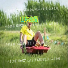 北京利達(dá)環(huán)保無毒丙烯酸球場材環(huán)保 體育設(shè)施材料 硅pu球場塑膠跑道老人院健身體育器材 體育游樂設(shè)施 體育健身器材供應(yīng)商